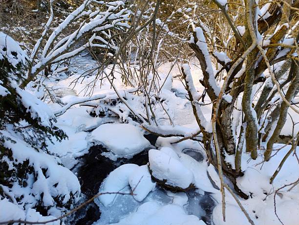 Partly frozen creek flowing through a snowy winter forest with snow-covered branches and ice formations along the water; Vitosha Mountains near Sofia, Bulgaria.