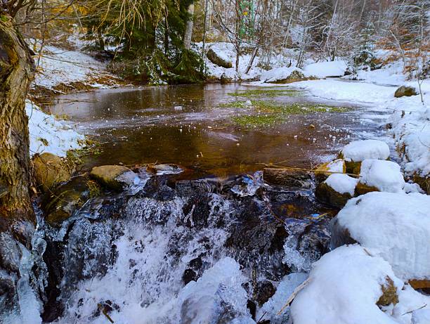 Small waterfall in a forest stream with flowing water, ice formations and snow-covered rocks on a cold winter day; photographed in the Vitosha Mountains near Sofia, Bulgaria.