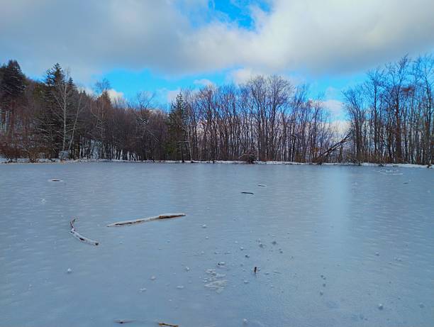 Completely frozen mountain lake surrounded by snow-covered bare trees under partly cloudy blue sky, smooth ice surface with driftwood; Vitosha National Park, Bulgaria.