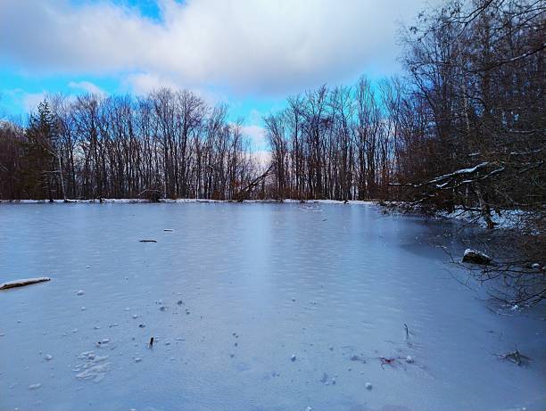Completely frozen mountain lake surrounded by snow-covered bare trees under partly cloudy blue sky, smooth ice surface with driftwood; Vitosha National Park, Bulgaria.