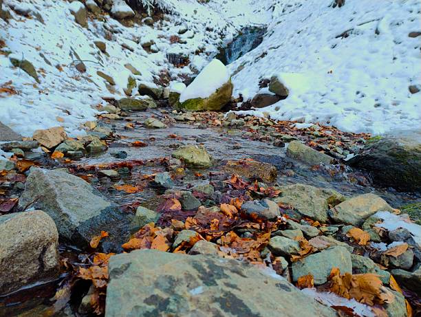 Shallow mountain stream flowing over rocks with colorful autumn leaves scattered among snow patches, natural winter scene; near Sofia, Bulgaria.