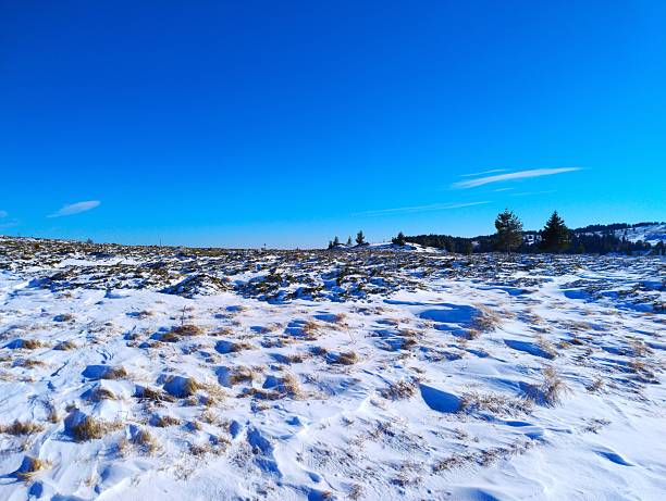 Winter mountain plateau covered with snowdrifts and low shrubs under a clear blue sky, with distant mountains on the horizon; photographed in the Vitosha Mountains near Sofia, Bulgaria.