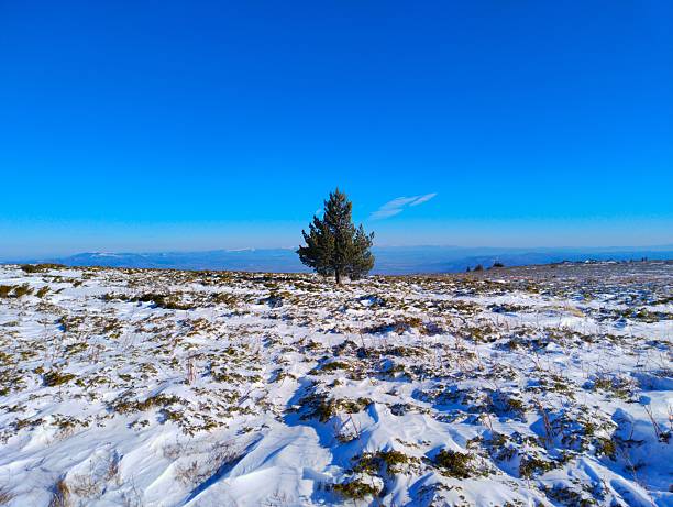 Thawing snow in fields near Muthmannsdorf in Lower Austria, Austria, Europe