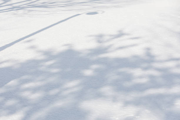 A wider snow-covered lawn scene with long, stretched shadows crossing the surface, creating a simple, airy winter composition. Minimal background with broad copy space.