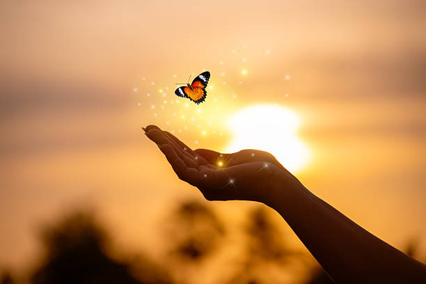 istock Butterfly Resting on Finger Tip Against Golden Sunset Sky. Butterfly resting finger tip hand touch freedom inspiration nature concept hope serenity golden sunset sunrise silhouette sky background animal wildlife sensitive emotional moment. 2259005604