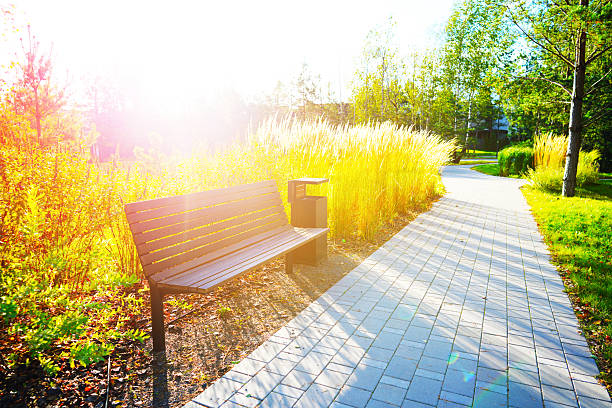 Walkway in City Park at Modern Buildings. Serene path winds through park with greenery. Alley at residential complex. Bench in Garden path urban spaces. Ornamental shrubs. Urban Nature, lawn, flowers.