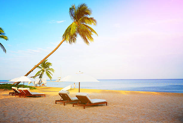 istock Tropical sand beach with palm trees on bright blue sky. 2259011519