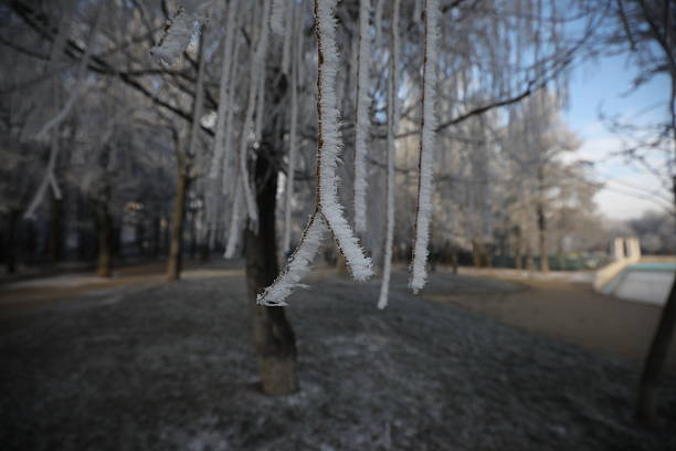 A frosty, icy morning magically adorned the trees in North Park in the capital of Bulgaria, Sofia.