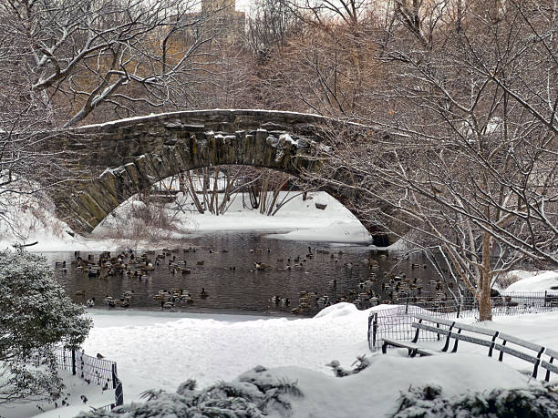 Gapstow Bridge in Central Park during snowstorm in winter