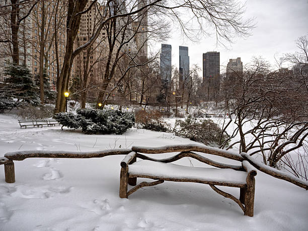 Central Park in winter during a snowstorm, New York City
