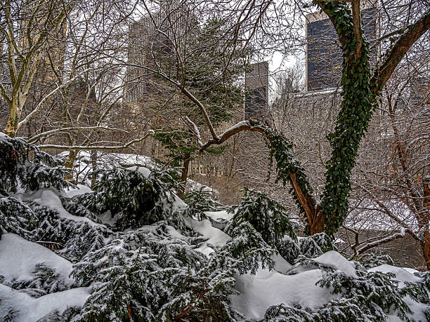 Central Park in winter during a snowstorm, New York City