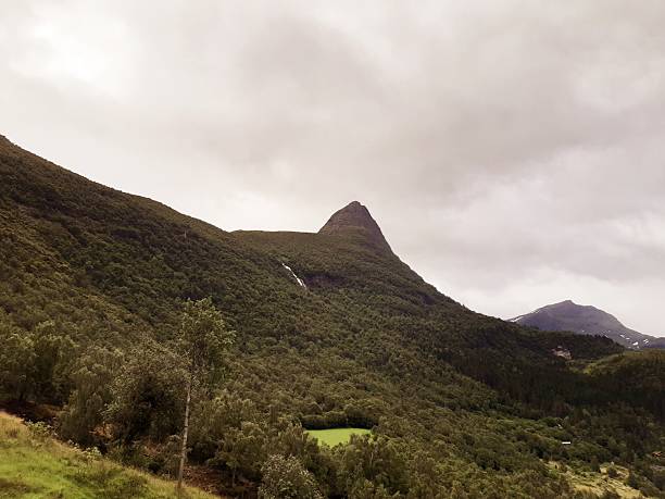 A sharp, distinctive mountain peak covered in lush green vegetation and trees on a misty morning near Geiranger, Norway.