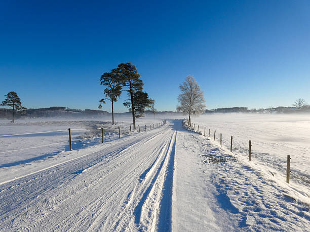 Severely reduced visibility on rural winter road during snowstorm and dense fog, whiteout conditions making driving extremely difficult in Nordic landscape