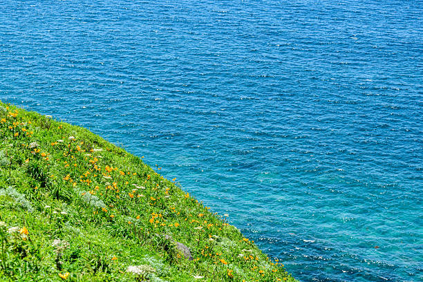 Cape Kamui, Shakotan Peninsula, Hokkaido