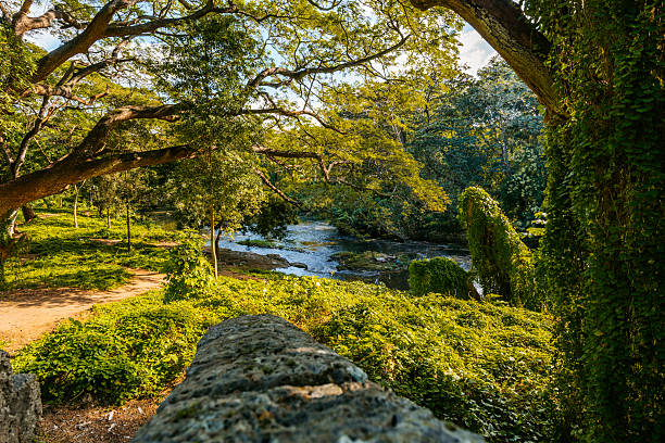 Parque Almendares (Almendares park) In Havana In Cuba.
