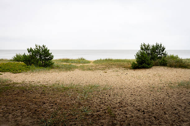 Landscape at the Curonian Lagoon on a gloomy day