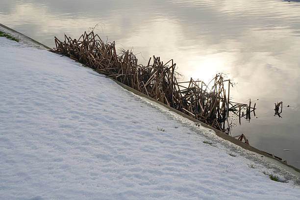 Snow on the riverbank