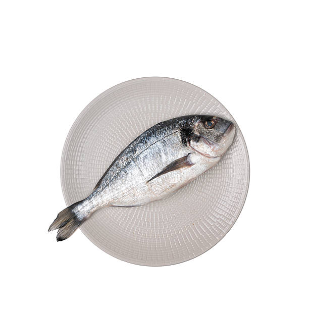 a sea bream on a plate in hand