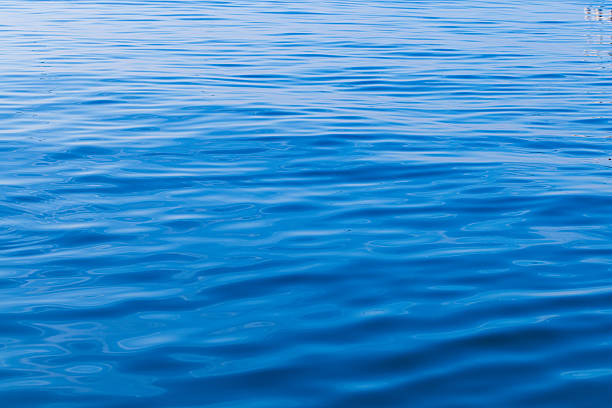 Wave ripple circles on the lake. Blurred transparent blue colored clear calm water surface texture. Trendy abstract nature background with copy space.