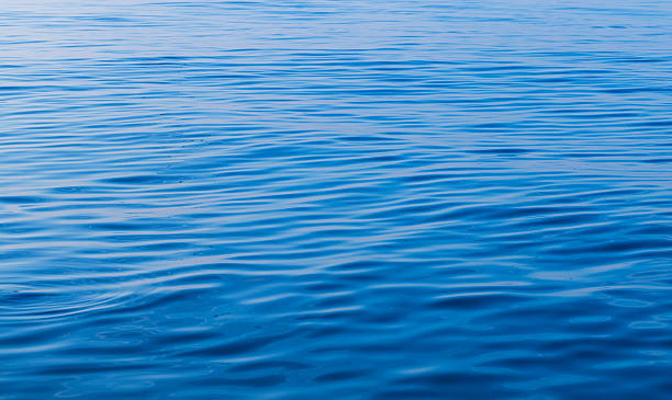 istock Calm Blue Water Surface with Gentle Ripples and Soft Sunlight 2259068181