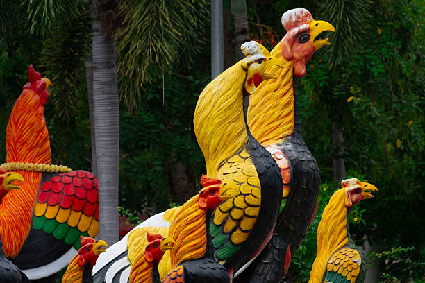 Famous roosters of Wat Yai Chai Mongkhon, a temple in Ayutthaya, Thailand