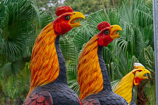 Famous roosters of Wat Yai Chai Mongkhon, a temple in Ayutthaya, Thailand