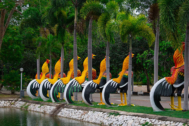 Famous roosters of Wat Yai Chai Mongkhon, a temple in Ayutthaya, Thailand