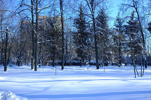 View of city park in winter, snow, white