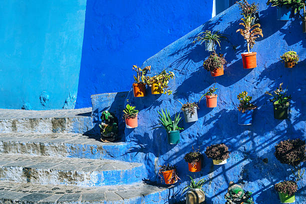 A serene coastal scene featuring a blue hanging planter filled with succulents on a white wall, overlooking a wooden walkway and railing.