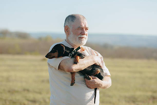 With the sun casting its warm hues across the landscape, an older man and his dachshund share a moment of connection and contentment in the field.