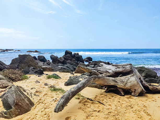 Rocky ocean coastline with calm waves and distant horizon under a soft blue sky. Natural seascape featuring stone shore, coastal rocks, and tranquil water, captured in daylight. Ideal for travel, nature, tourism, relaxation, mindfulness, and outdoor lifestyle concepts. Perfect background for design, banners, websites, and editorial use.