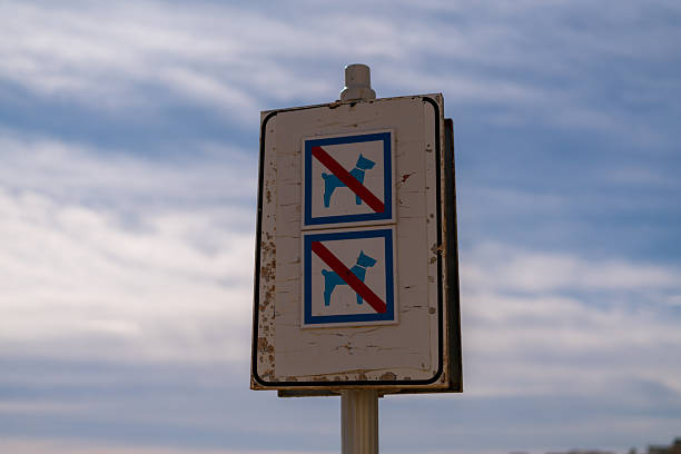 Weathered no dogs allowed sign with prohibition symbols against cloudy sky public rule restriction concept pet control and safety regulation outdoors