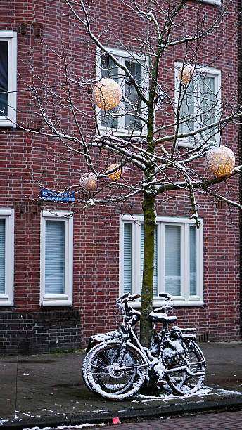A winter street scene in Amsterdam featuring a snow-covered bicycle parked beside a small tree decorated with spherical lights. Captured on January 29, 2026, the image blends everyday urban life with a subtle festive atmosphere, highlighting the quiet charm of snowy streets and the warm contrast between decoration and winter weather