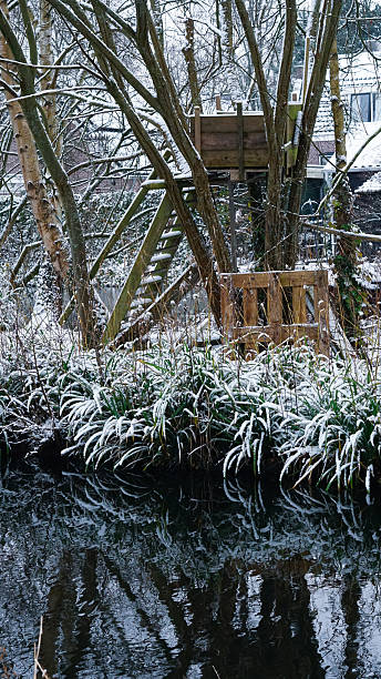 A cozy wooden treehouse stands on a tiny island in a quiet Amsterdam canal, surrounded by snow-covered trees and soft winter reflections. Captured on January 29, 2026, the image blends playful architecture with serene urban nature, evoking themes of childhood imagination, seasonal stillness, and the poetic coexistence of water, trees, and sustainable living