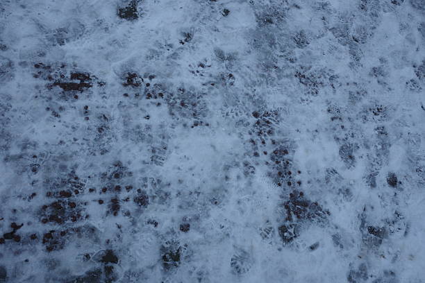 Ice crystals cover the surface.   The texture appears rough.   A wintry scene is visible.   The background is blurred