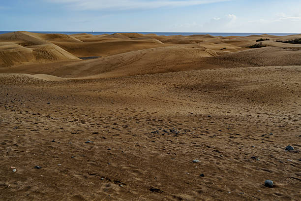 A wide view of wind shaped dunes leading toward the sea under clear daylight.