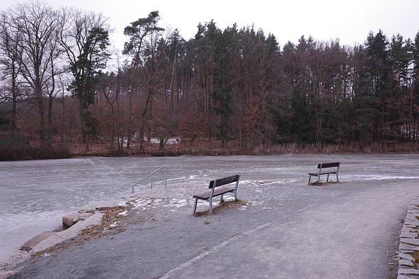 Two benches face the water.   A paved path runs along the lakeshore.   Bare trees surround the scene.   The sky is overcast.   The ground is covered in snow