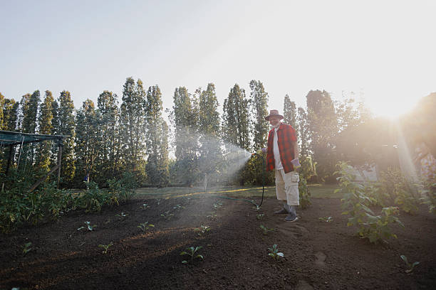 A senior man waters plants in his backyard garden. The image represents healthy aging, outdoor activity, and a sustainable, hands-on lifestyle connected to nature.