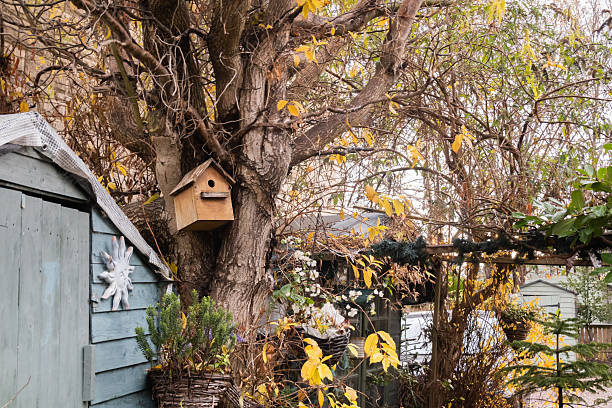 Bird houses in beautiful natural scenery