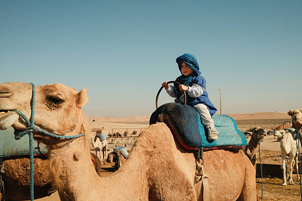 Child in blue turban and robe riding a camel across sunlit Sahara dunes in Morocco, traditional Berber scene of youthful exploration
