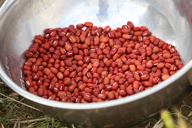 Lots of red beans