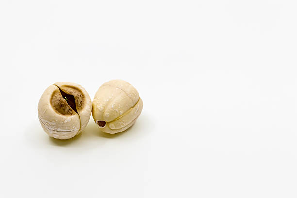 Lotus seeds, white background, copy space