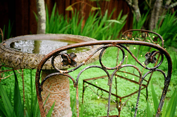 Rusty Old Chair and Bird Bath.