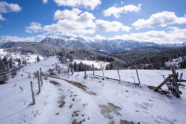 A path leads through a snowy landscape with mountains in the background. Trees are covered in white snow. The sky has clouds and sunlight shines brightly.
