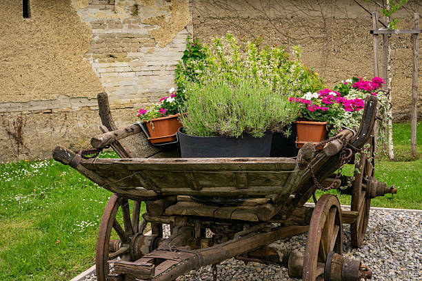 This charming image features a historical handcart adorned with an array of colorful flowers and fragrant herbs, evoking a sense of nostalgia and rustic charm. The handcart, a symbol of traditional craftsmanship, showcases the beauty of nature's bounty and the art of gardening. Ideal for projects related to vintage aesthetics, gardening, or sustainable living, this scene invites viewers to appreciate the simplicity and beauty of bygone days. The vibrant blooms and lush greenery highlight the connection between nature and human creativity, making it a perfect choice for themes centered around heritage, floral design, and the joys of cultivating one's garden.