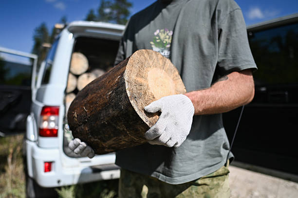 Man wearing work gloves carrying a log, loading firewood into the back of a vehicle
