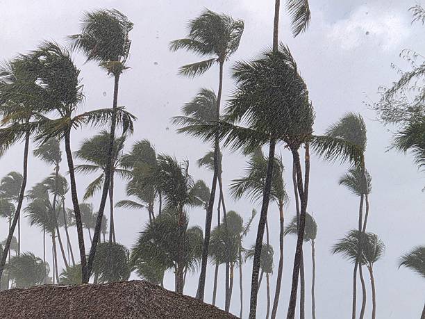 Punta Cana, República Dominicana.