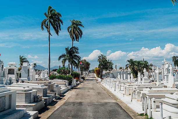 Sunny Cuban cemetery scene with white tombs lining a central path, tall palm trees, and a clear blue sky. Peaceful, timeless atmosphere showcasing Cuban cemetery architecture and landscape.