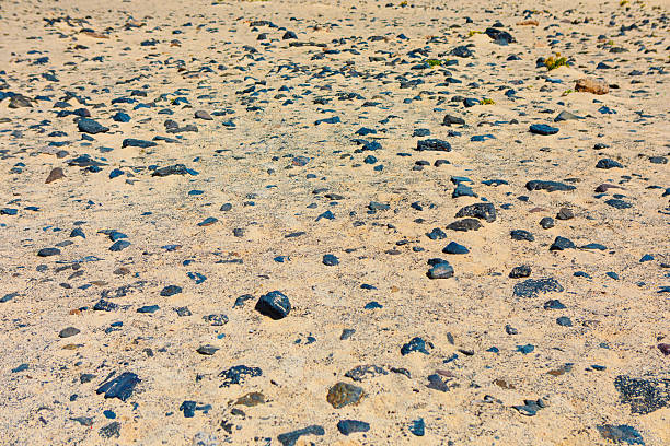 Dark rocks scatter across a sandy desert coast, creating a stark contrast in texture and tone. Arid terrain is dry and uneven, with pebbles and stones dispersed naturally across the sunlit surface
