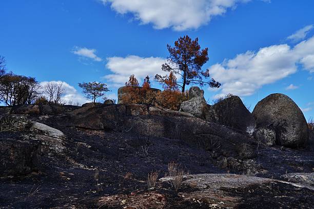 In 2025, Portugal was ablaze. This photo was taken after the disaster in the Trancoso region, where fires raged in August 2025, affecting numerous villages, including Marialva.